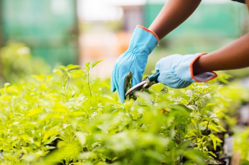 Professional gardeners working in Brent Cross garden